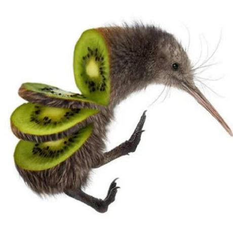 liangjs