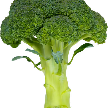 Harrycheng233