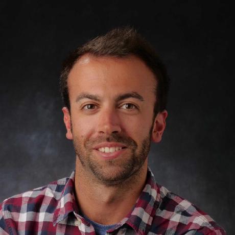 Nicola Bodini